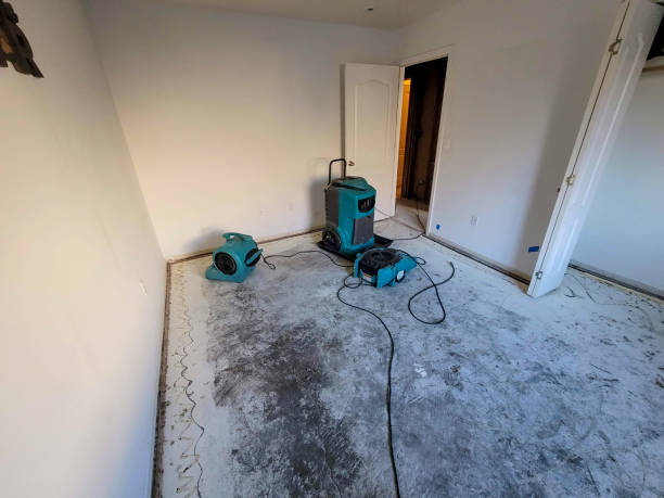 Best Flood restoration services  in Mountain View Ranches, AZ