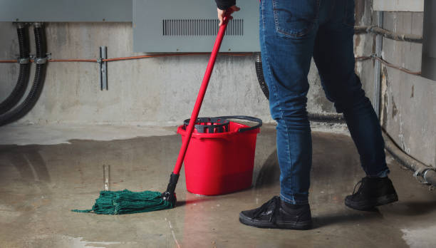 Best Water damage restoration near me  in Mountain View Ranches, AZ