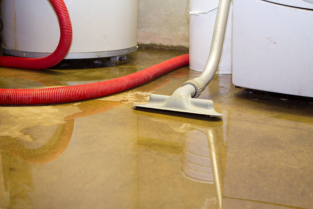 Best Water damage restoration mold remediation  in Mountain View Ranches, AZ