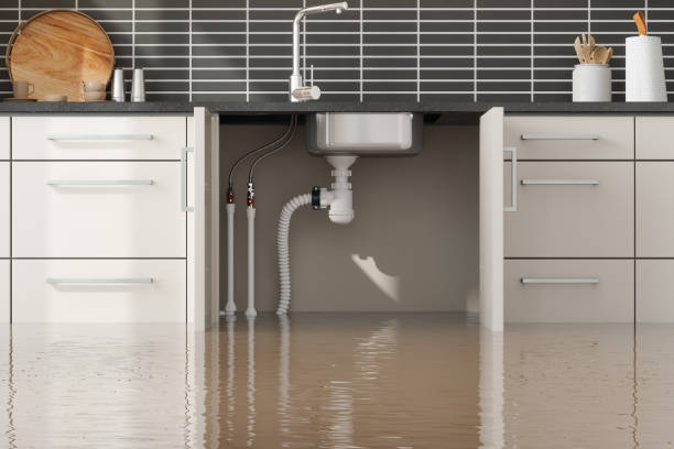 Mountain View Ranches, AZ Water damage restoration Pros